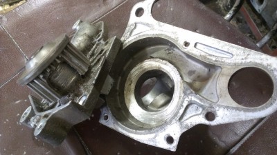 IMAG0521.jpg