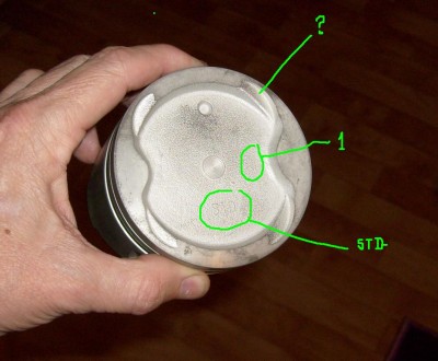 S6301589.JPG