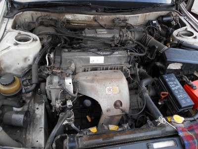 DSCN0730 (800x600).jpg