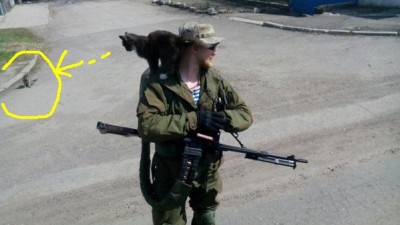 Весна и котики....jpg
