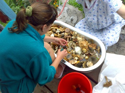 24082009387.jpg