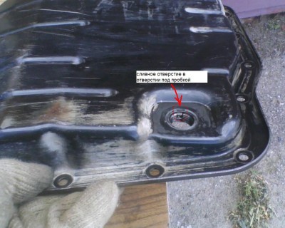 IMG0486A.jpg