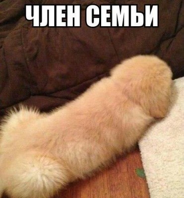 jShSJz6caew.jpg