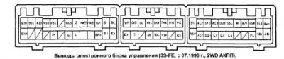 эбу.jpg