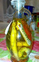 Копия 08042009166.jpg