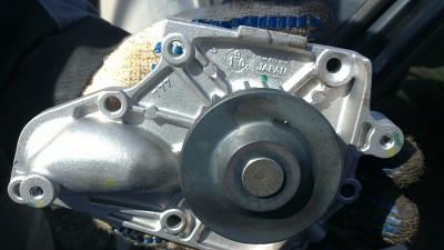 10042011065.JPG