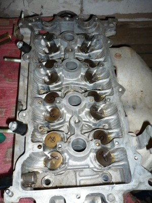 P1010146.JPG